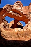 USA skull arch (arches).jpg